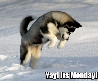 yay-its-monday