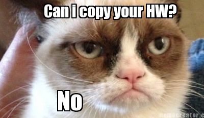 can-i-copy-your-hw-no