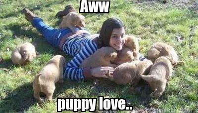 aww-puppy-love