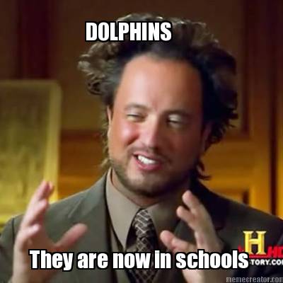 dolphins-they-are-now-in-schools