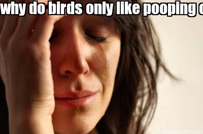 why-do-birds-only-like-pooping-on-cars