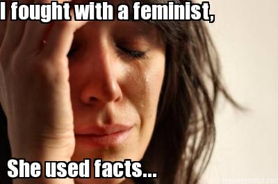 i-fought-with-a-feminist-she-used-facts