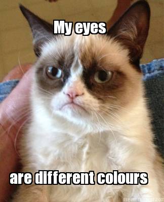 my-eyes-are-different-colours
