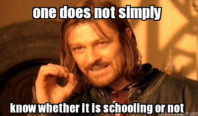 one-does-not-simply-know-whether-it-is-schooling-or-not