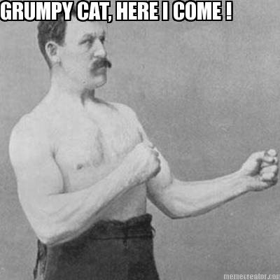 grumpy-cat-here-i-come-