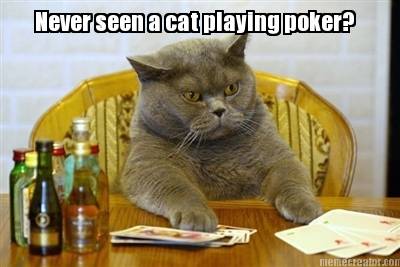 never-seen-a-cat-playing-poker