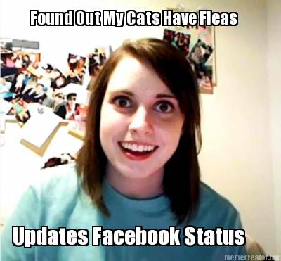 found-out-my-cats-have-fleas-updates-facebook-status