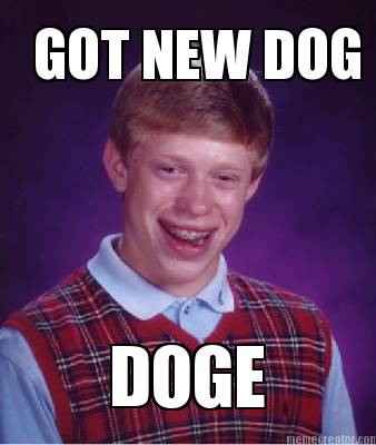 got-new-dog-doge