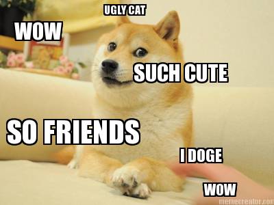 wow-such-cute-so-friends-ugly-cat-i-doge-wow