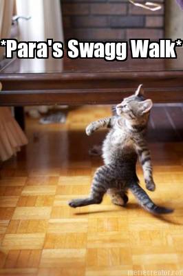 paras-swagg-walk