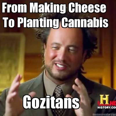 from-making-cheese-gozitans-to-planting-cannabis