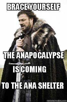 brace-yourself-the-anapocalypse-is-coming-to-the-ana-shelter