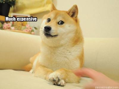 much-expensive