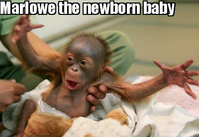 marlowe-the-newborn-baby