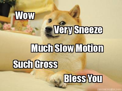 wow-very-sneeze-such-gross-much-slow-motion-bless-you
