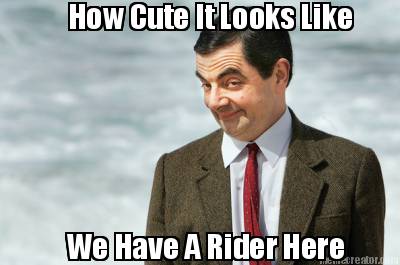 how-cute-it-looks-like-we-have-a-rider-here