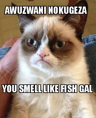 you-smell-like-fish-gal-awuzwani-nokugeza