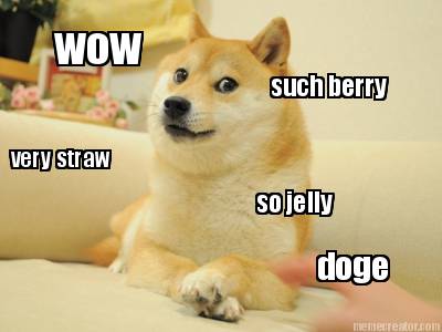 wow-such-berry-very-straw-so-jelly-doge