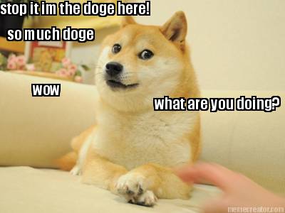 so-much-doge-wow-what-are-you-doing-stop-it-im-the-doge-here
