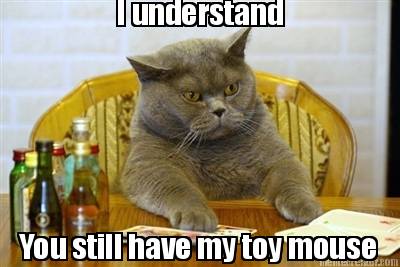 i-understand-you-still-have-my-toy-mouse