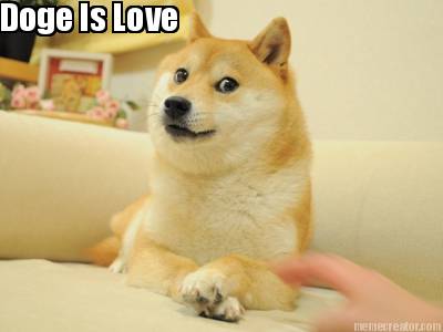 doge-is-love
