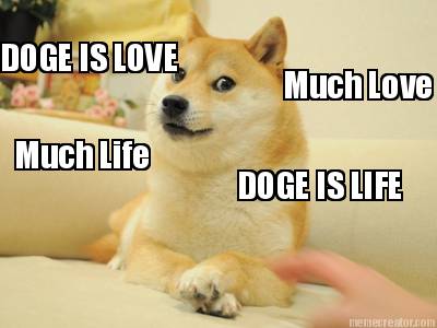 doge-is-love-doge-is-life-much-love-much-life