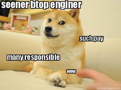 seener-btop-enginer-such-pay-many-responsible-wow