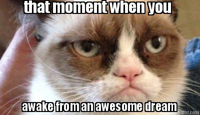 that-moment-when-you-awake-from-an-awesome-dream