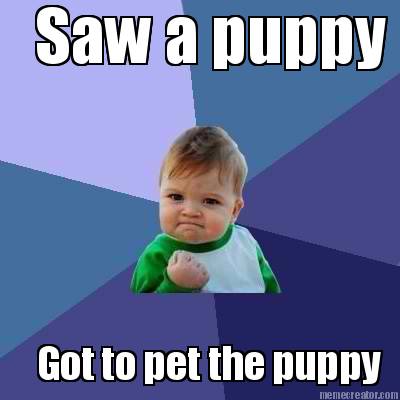 saw-a-puppy-got-to-pet-the-puppy