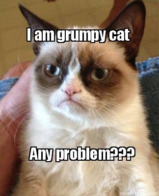 i-am-grumpy-cat-any-problem