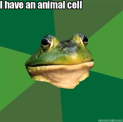 i-have-an-animal-cell