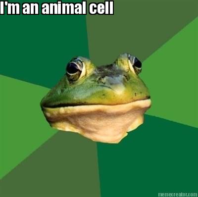im-an-animal-cell