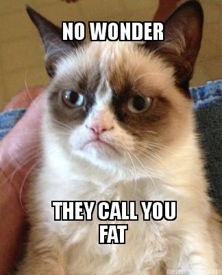 no-wonder-they-call-you-fat