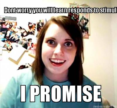 dont-worry-you-will-learn-responds-to-stimuli-i-promise