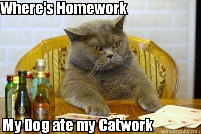 wheres-homework-my-dog-ate-my-catwork