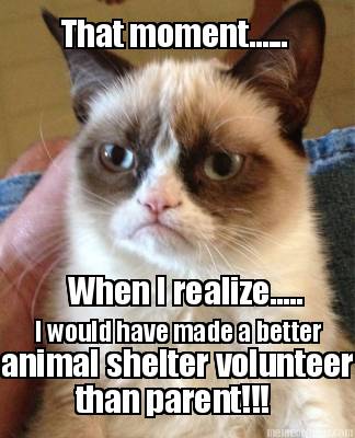 that-moment......-when-i-realize.....-i-would-have-made-a-better-animal-shelter-