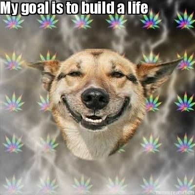my-goal-is-to-build-a-life