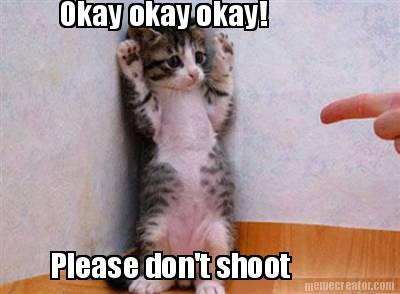 okay-okay-okay-please-dont-shoot