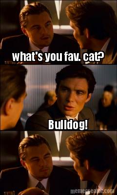 whats-you-fav.-cat-bulldog