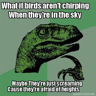 what-if-birds-arent-chirping-when-theyre-in-the-sky-maybe-theyre-just-screaming-