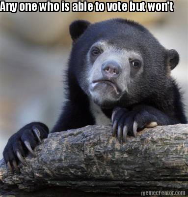 any-one-who-is-able-to-vote-but-wont