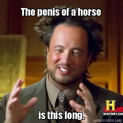 the-penis-of-a-horse-is-this-long