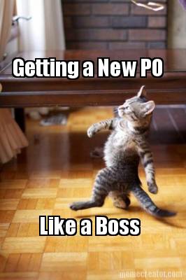 getting-a-new-po-like-a-boss
