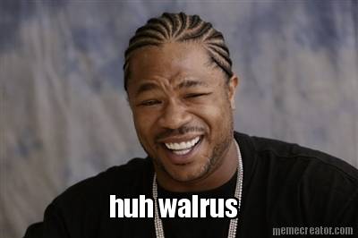 huh-walrus