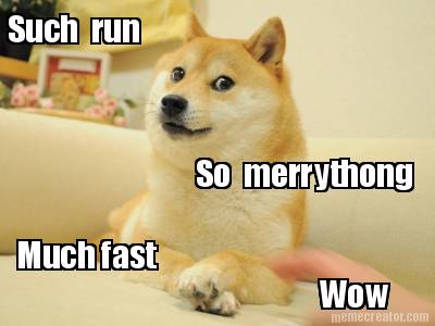 such-run-so-merrythong-much-fast-wow