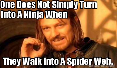 one-does-not-simply-turn-into-a-ninja-when-they-walk-into-a-spider-web
