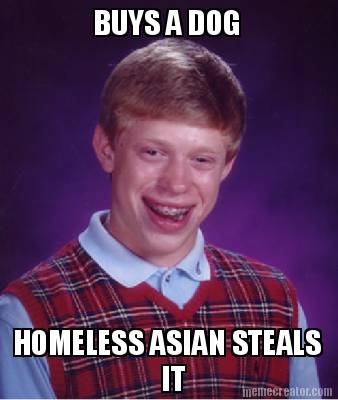 buys-a-dog-homeless-asian-steals-it