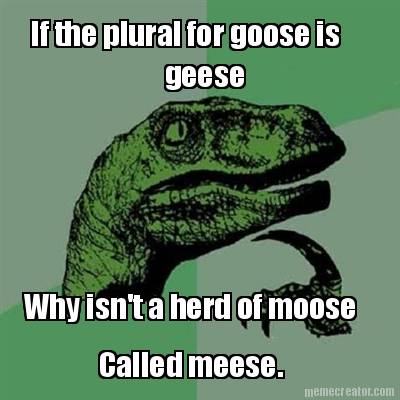 if-the-plural-for-goose-is-geese-why-isnt-a-herd-of-moose-called-meese