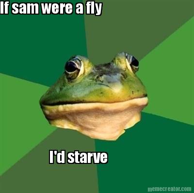 if-sam-were-a-fly-id-starve