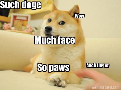 such-doge-wow-such-finger-much-face-so-paws